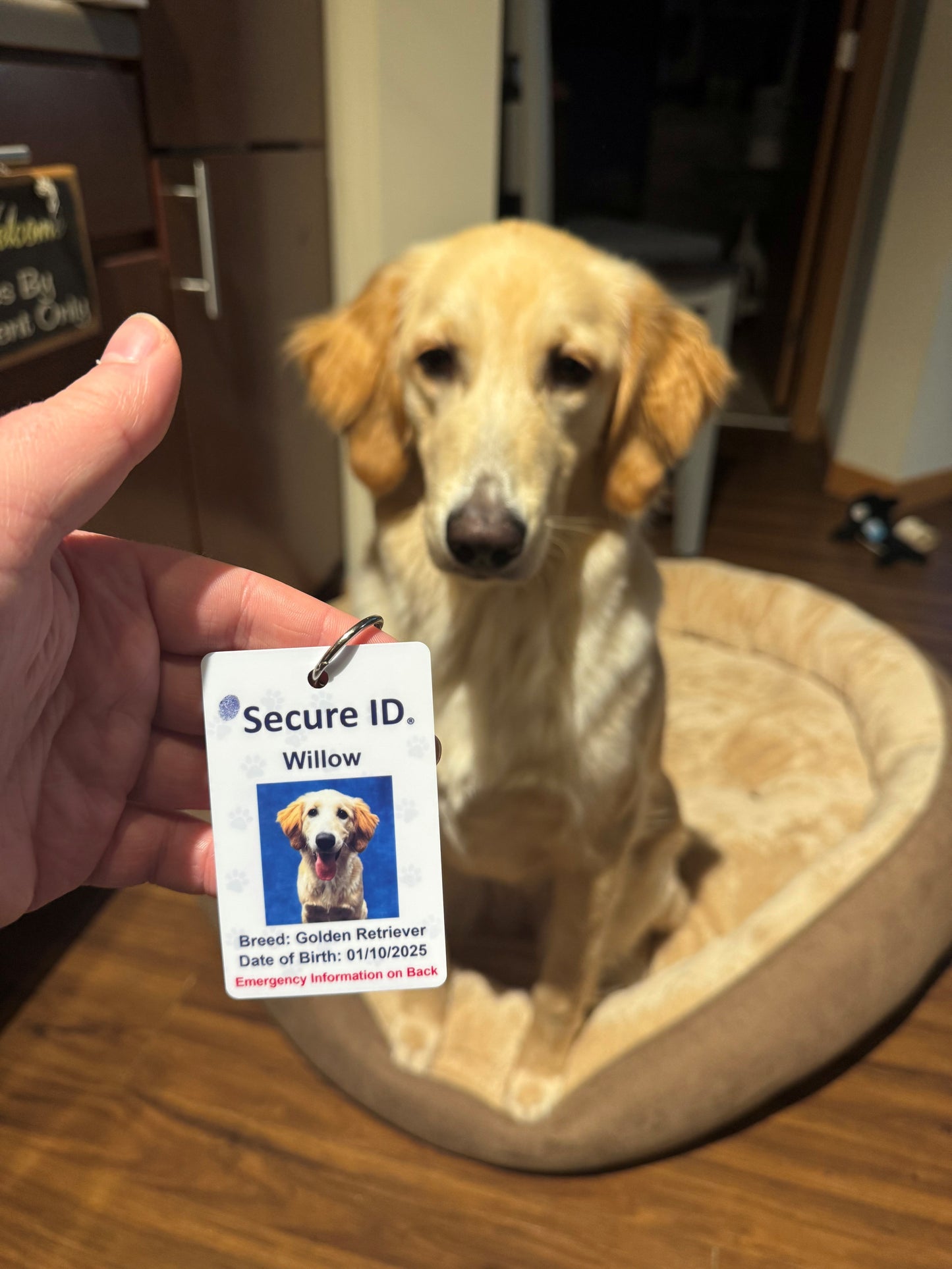 Pet Crate ID Card Kennel Tag Customized