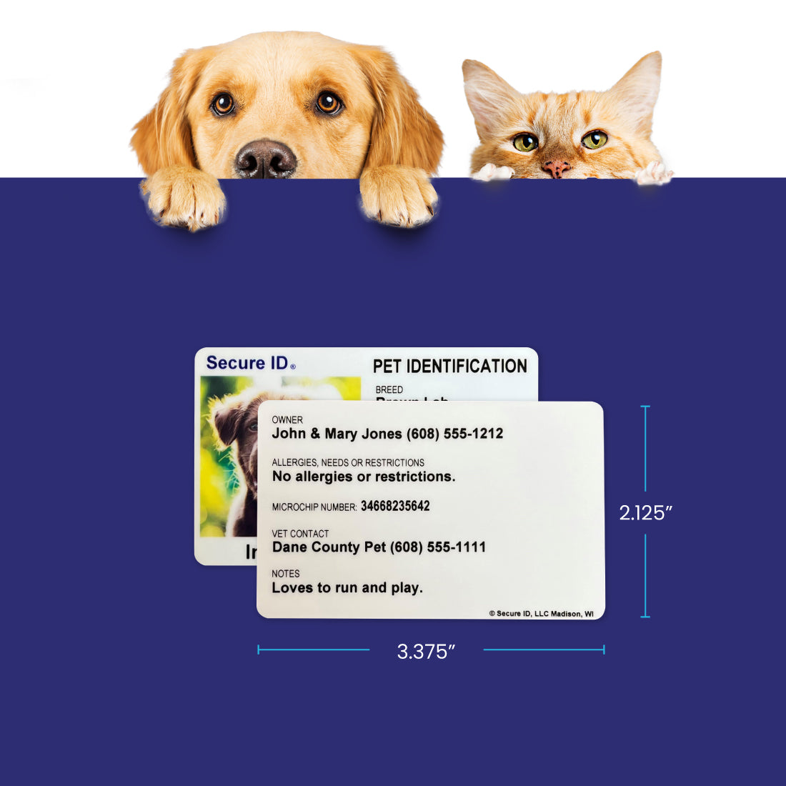 Pet ID Card