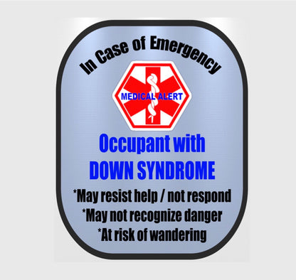 Down Syndrome Backpack Strap - Car Seat Strap Cover - Window Decal Set