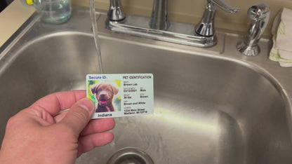 Pet ID Card